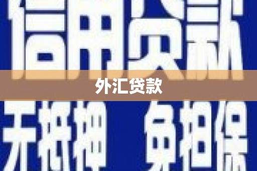 旬邑外汇贷款