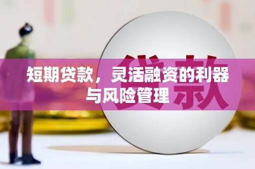 旬邑短期贷款，灵活融资的利器与风险管理