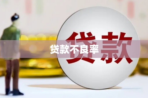旬邑贷款不良率