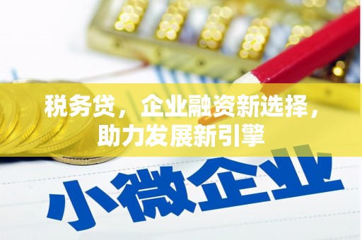 旬邑税务贷，企业融资新选择，助力发展新引擎