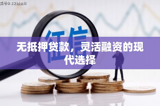 旬邑无抵押贷款，灵活融资的现代选择