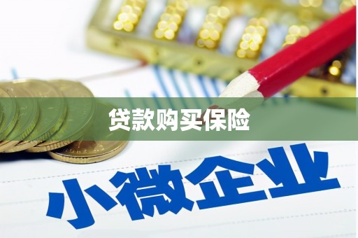旬邑贷款购买保险