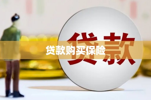旬邑贷款购买保险