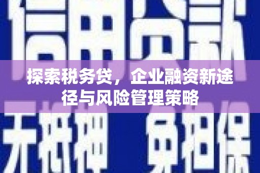 旬邑探索税务贷，企业融资新途径与风险管理策略