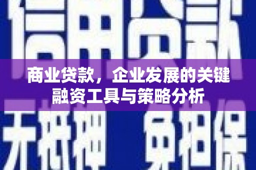旬邑商业贷款，企业发展的关键融资工具与策略分析