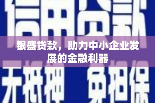 旬邑银盛贷款，助力中小企业发展的金融利器