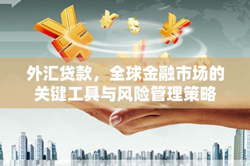 旬邑外汇贷款，全球金融市场的关键工具与风险管理策略