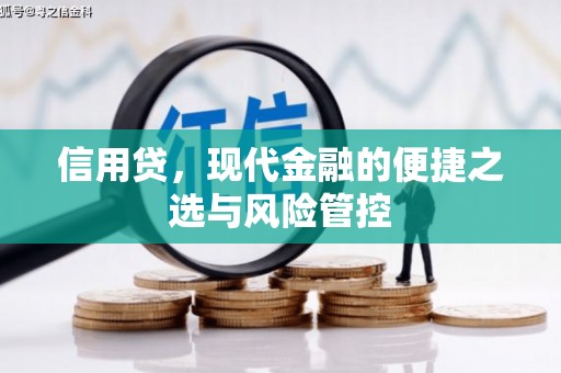 旬邑信用贷，现代金融的便捷之选与风险管控