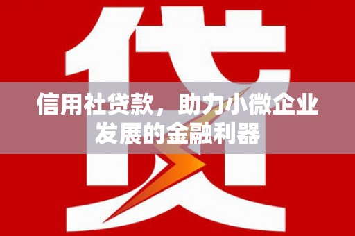 旬邑信用社贷款，助力小微企业发展的金融利器