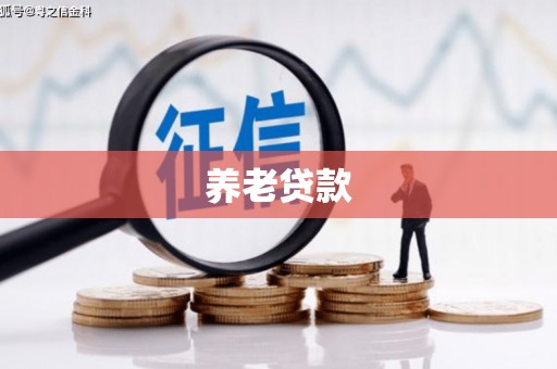 旬邑养老贷款