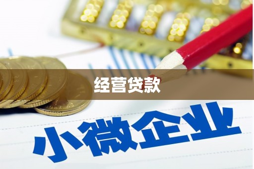 旬邑经营贷款